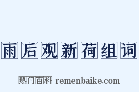 雨后观新荷组词是什么意思的图片